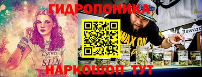 a pvp Славгород