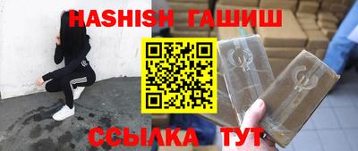 гашик Сланцы
