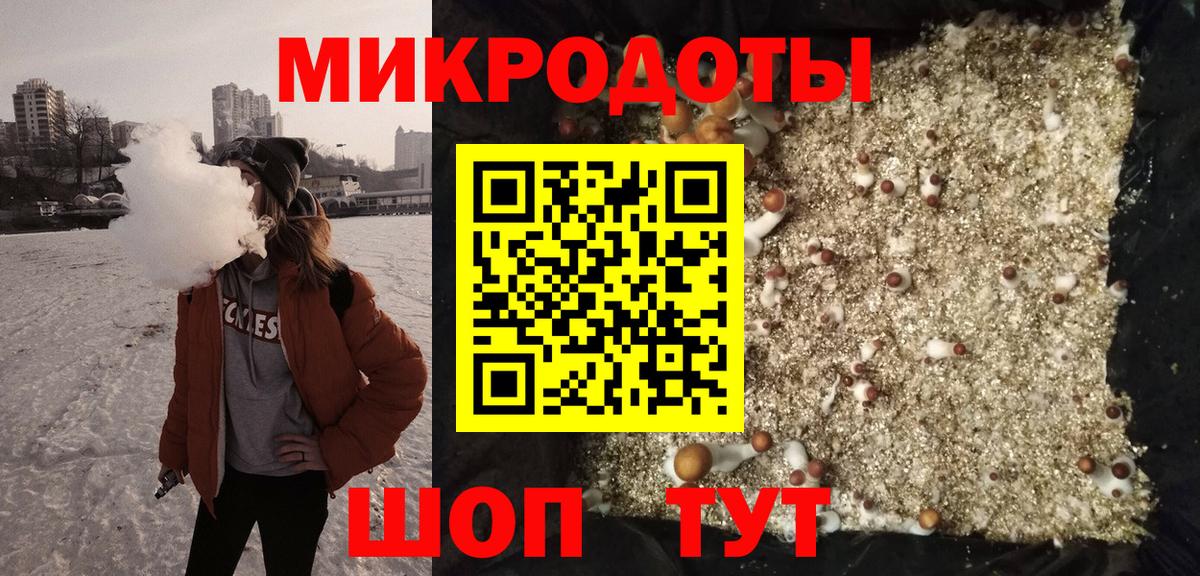Псилоцибиновые грибы Cubensis  хочу наркоту  Сальск  Вход с VPN 